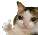 CryingThumbsup