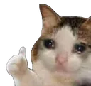CatSadThumbsUp CatSadThumbsUp