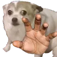 PupOhGrab