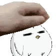 Birb_pat
