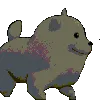 discoDog