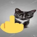 Cat Fuck You catfuckyou Discord Emoji
