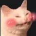 catblush
