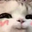 Mwehehehe Mwehehehe