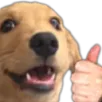 HD_doggothumbsup