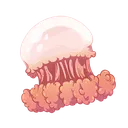 jellyfish