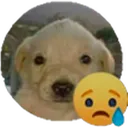 estadotriste