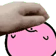 petting