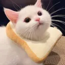 NekoBread Discord Emoji