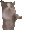 dabadoo