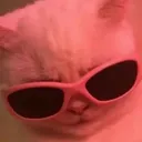 Cat Swag CatSwag Discord Emoji