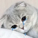 Neko Sad NekoSad Discord Emoji