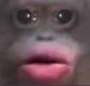 MonkeyB