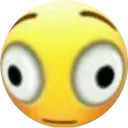 wtf