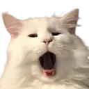 YukiYawn