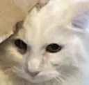 YukiGrumpy YukiGrumpy