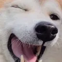 Winkkkk Winkkkk