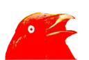 crowofHELL