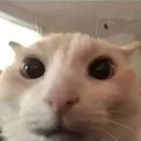 youumexcuseme