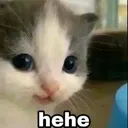 hehe