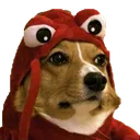 Doggobster