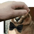 K_cheerpat Discord emoji