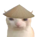 GENSHINCAT