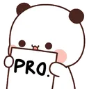 OR_Pro