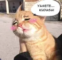 YameteKudasai