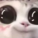 happe
