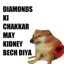 z_mbg_ripkidney