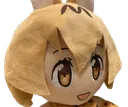 surpriseserval