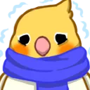 birbcold