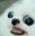 perrito_boludito Discord emoji