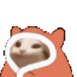FTGPpopCatBlankies2 Discord Emoji