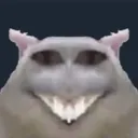 catwhasgreat