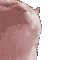 CatVibe