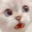 catpanic