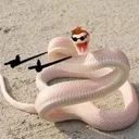 snek_fingerguns