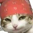 ricardoCat
