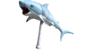 shark shark