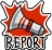 Report