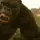 KongRun