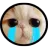 Cry Cry