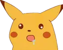 suprisedpikachuderp