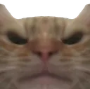swagmad