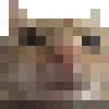 swagjpeg