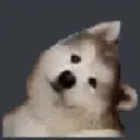 whatthewhat