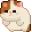 cat_roll