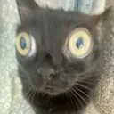 oOoOoOooOOOoo